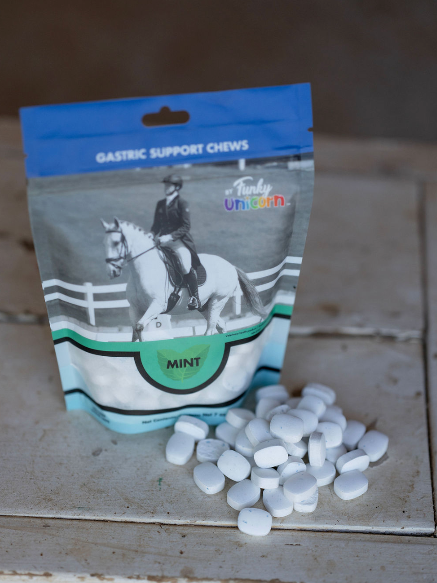 Funky Unicorn Gastric Support Antacid Chews in Mint