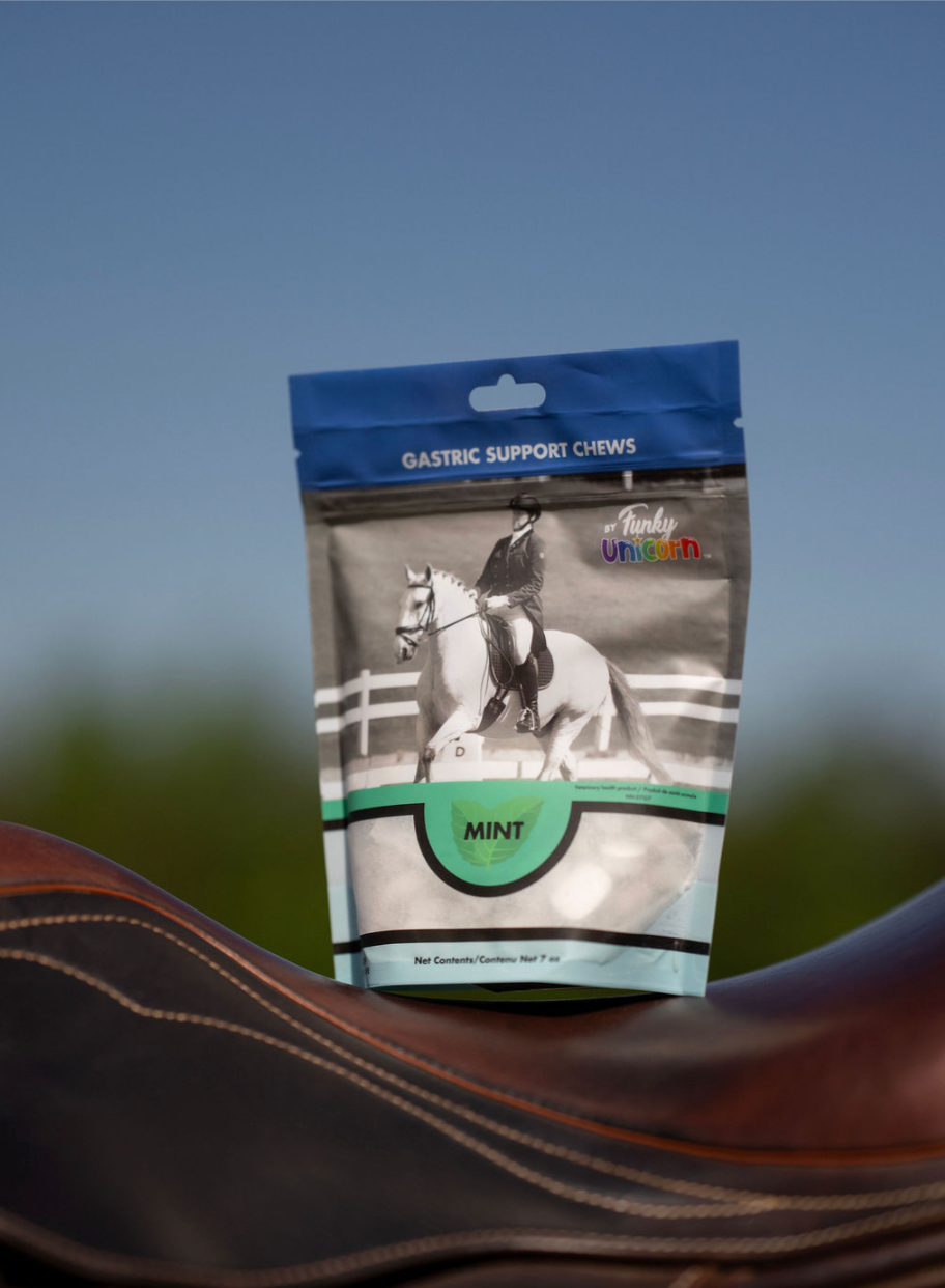 Funky Unicorn Gastric Support Antacid Chews in Mint