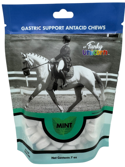 Gastric Support Antacid Chews in Mint