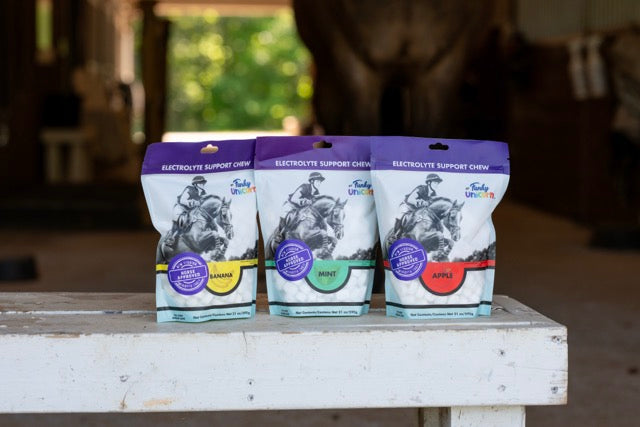7 oz Funky Unicorn Electrolyte Support Chews