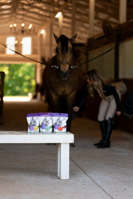 7 oz Funky Unicorn Electrolyte Support Chews