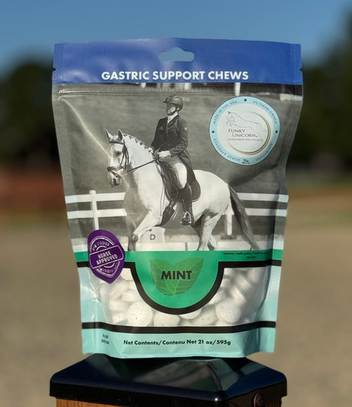(W) Gastric Support Antacid Chews in Mint 21 oz