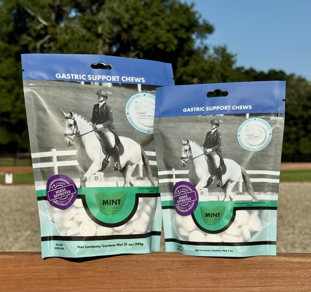 (W) Gastric Support Antacid Chews in Mint 21 oz