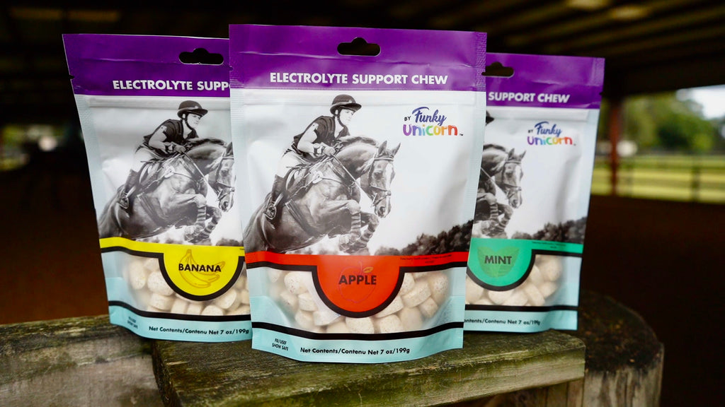 Funky Unicorn Electrolyte Support Chews Refill 21 oz
