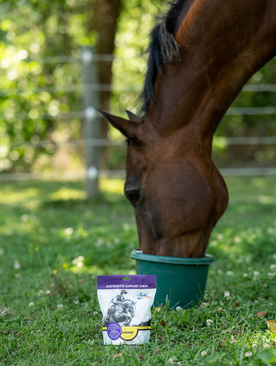 7 oz Funky Unicorn Electrolyte Support Chews