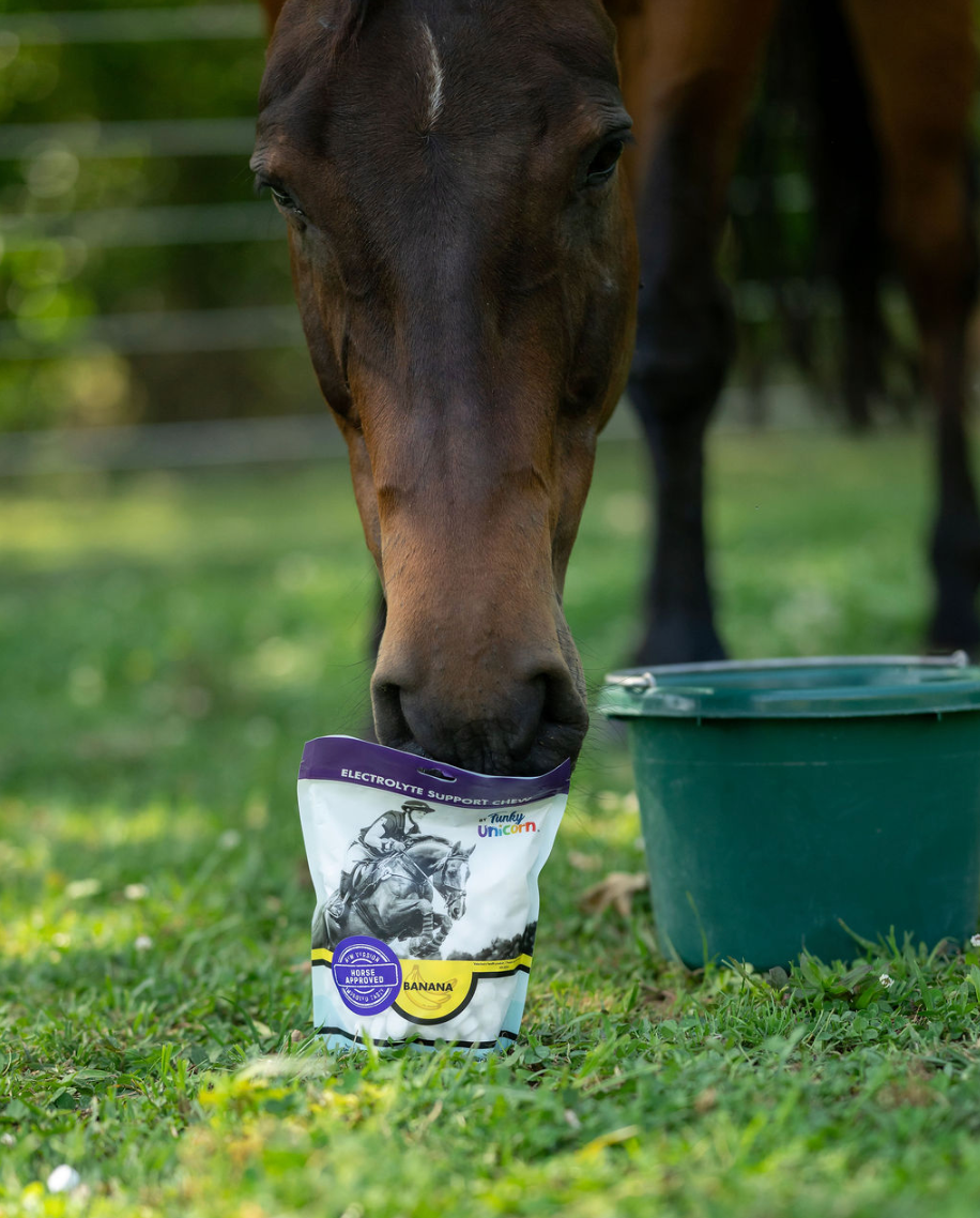 7 oz Funky Unicorn Electrolyte Support Chews